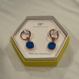 Chic Blue and Gold Earrings
